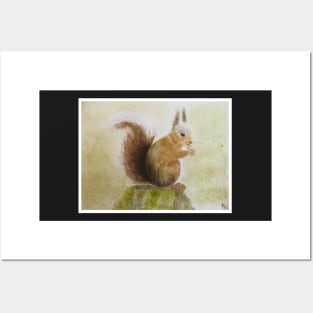 Brown Squirrel Watercolour | Melanie Jensen Illustrations Posters and Art
